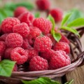 Extract de zmeură naturală