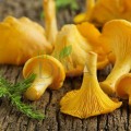 Ciupercă chanterelle 