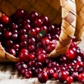 Extract de merișor Bio