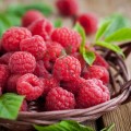 Extract de zmeură Bio