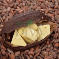 Unt de cacao Bio