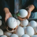 Săpun rotund cu iasomie naturală 150 g Rampal Latour