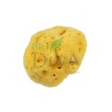 Burete natural Silk mărimea M Forster's Natural Products