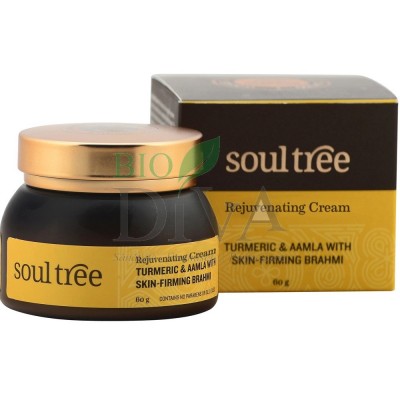Cremă anitirid cu turmeric și amlă Soultree