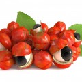 Guarana bio 