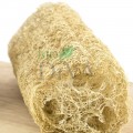 Luffa organică 