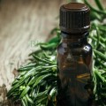 Extract din arbore de ceai verde