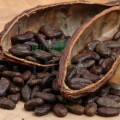 Boabe de cacao 