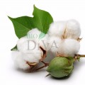 Protej slip din 100% bumbac organic 