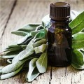 Extract de salvie Bio