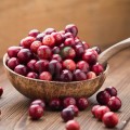 Extract de merișor bio