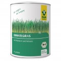Iarbă de grâu pudră Raab Vitalfood