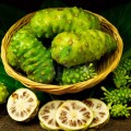 Suc de noni