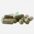 Orz verde Bio capsule Raab Vital Food