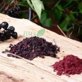 Aronia naturală