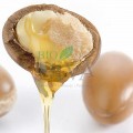 Loțiune antirid bio cu ulei de argan 