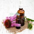 Cremă de mâini bio cu echinacea 