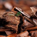 Săpun solid bio cu oud