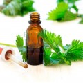 Șampon echilibrant pentru păr gras cu extract de urzică 