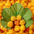 Ser hidratant iluminator pentru ten cu extract de cătină bio
