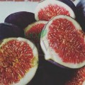 Șampon pentru păr gras cu smochine 