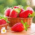 Pastă de dinți naturală cu aromă de căpșuni 