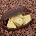 Lapte demachiant și cremă hidratantă de față cu unt de cacao