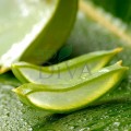 Cremă de mâini cu 60% gel de aloe vera