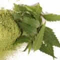 Vopsea de păr cu extract de neem