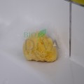 Burete natural BABY în cutie cadou Croll & Defencke