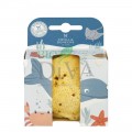 Burete natural BABY în cutie cadou Croll & Defencke