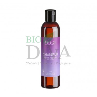 Șampon reparare si strălucire cu ulei de argan bio Benecos