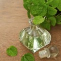 Extract natural de mentă