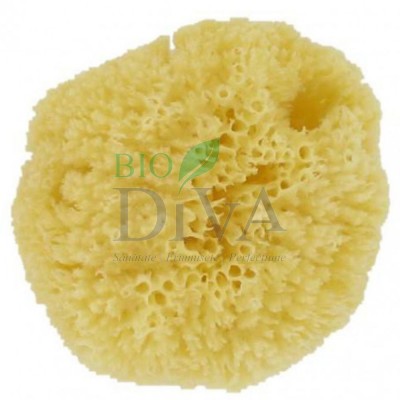 Burete de baie natural Caribbean Forster's Natural Products