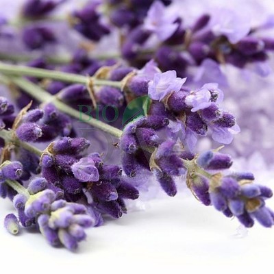 Detergent lichid pentru rufe albe și colorate cu lavandă Sodasan